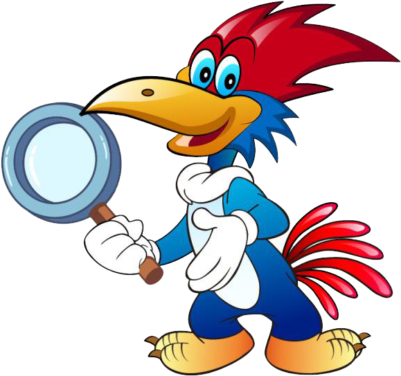 Woody Woodpecker Cartoon Clipart (579x543), Png Download