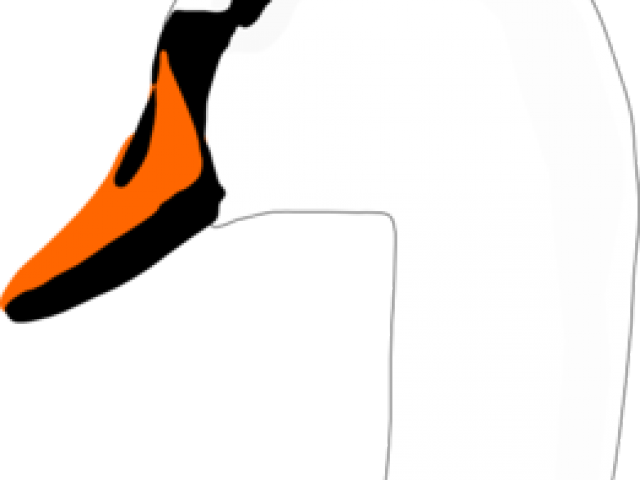 Swan Clipart Swan Head - Cygnini - Png Download (640x480), Png Download