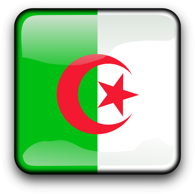 Clipart - Dz - Algeria Flag - Png Download (800x800), Png Download