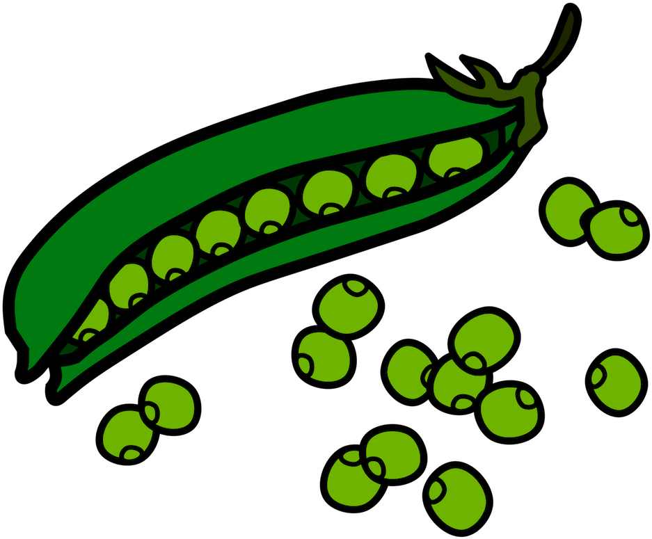 Bean Clip Art - Peas Clipart - Png Download (745x615), Png Download