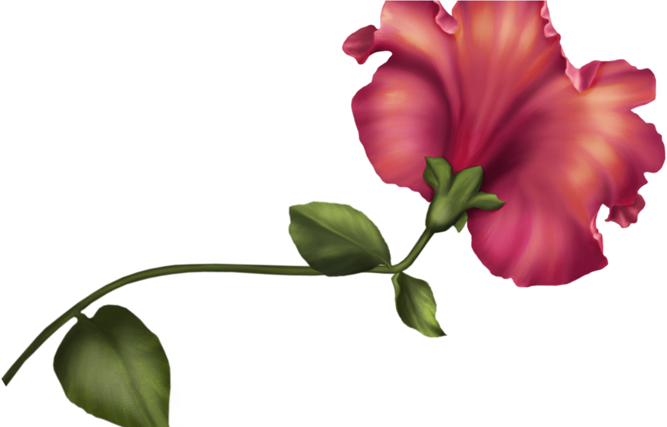 Vintage Flower Png Clip Art Best Web Clipart - Vintage Flowers Clipart Png Transparent Png (1368x855), Png Download