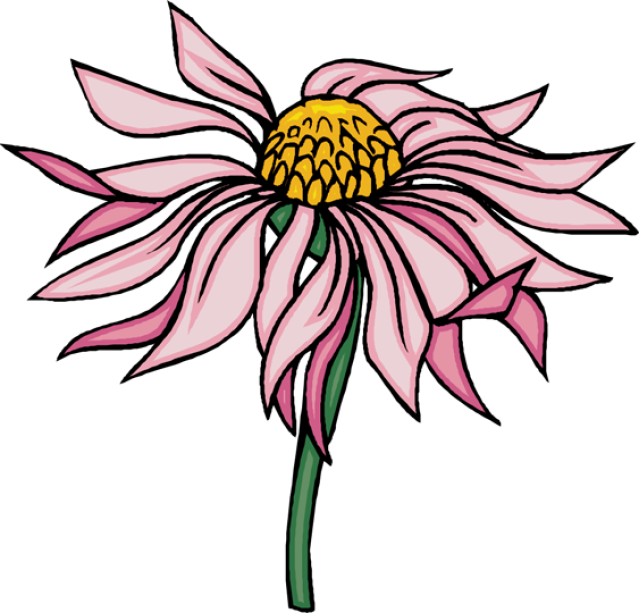 Beautiful Clip Art Of Flowers - Clip Art - Png Download (639x613), Png Download