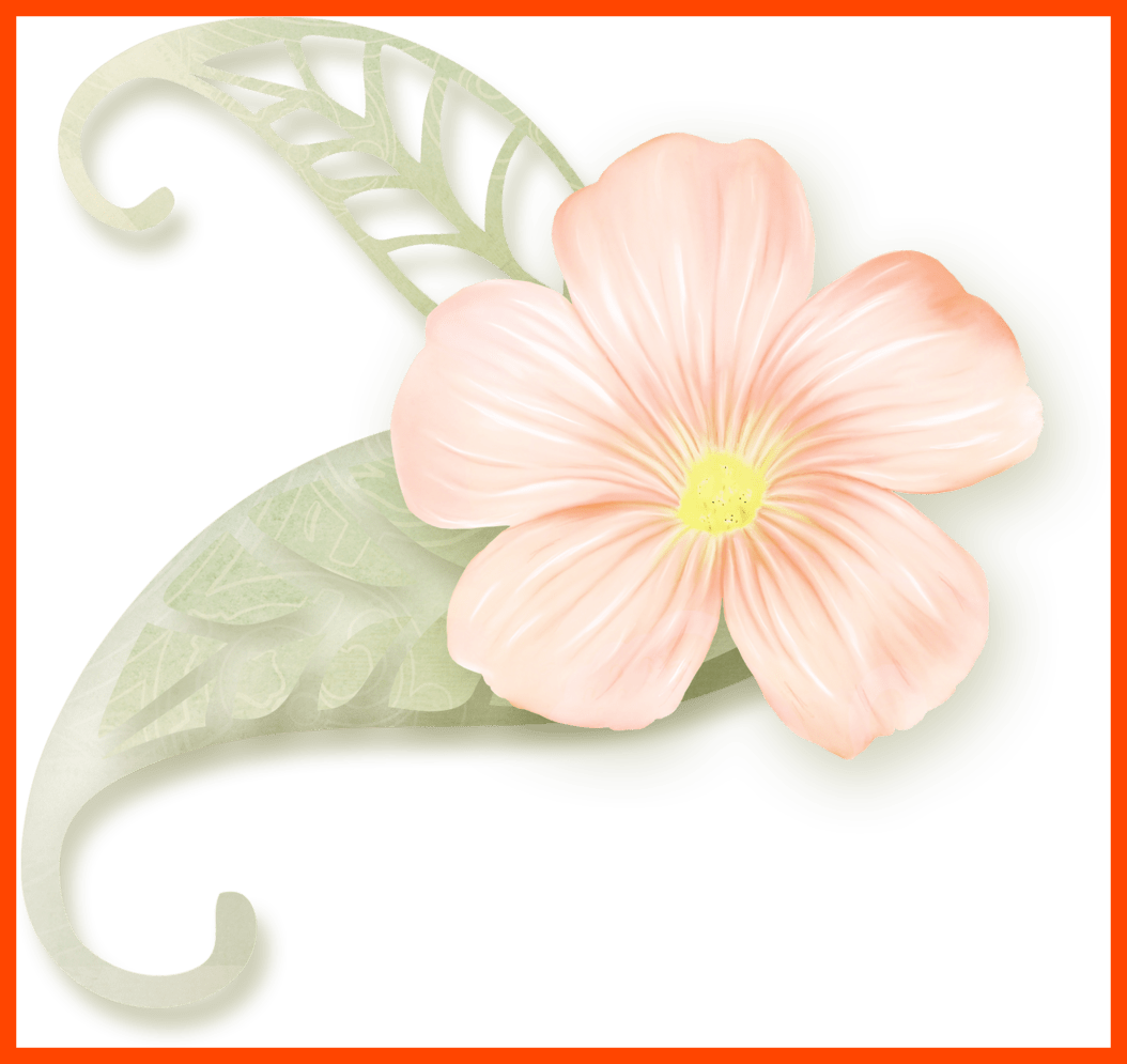 Awesome Pin By Eynasoo On Clipart Clip Art And Of Anthurium - Clip Art - Png Download (1054x995), Png Download