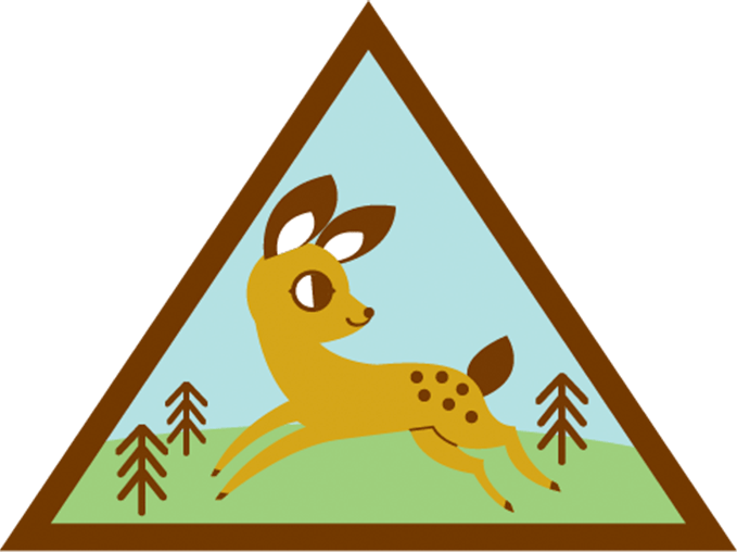 Our Alums Are Proof That Girl Scouts Works Brownie Eco