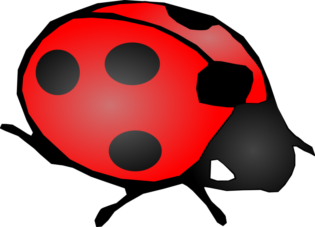 Onlinelabels Clip Art - Ladybird Black And White - Png Download (1000x721), Png Download