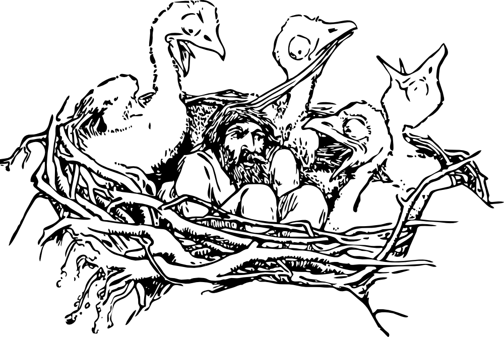 Man In A Birds Nest Words With Letter N In English Clipart Full