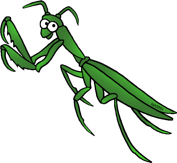 Free United States Clip Art By Phillip Martin, State - Clip Art Praying Mantis - Png Download (648x590), Png Download