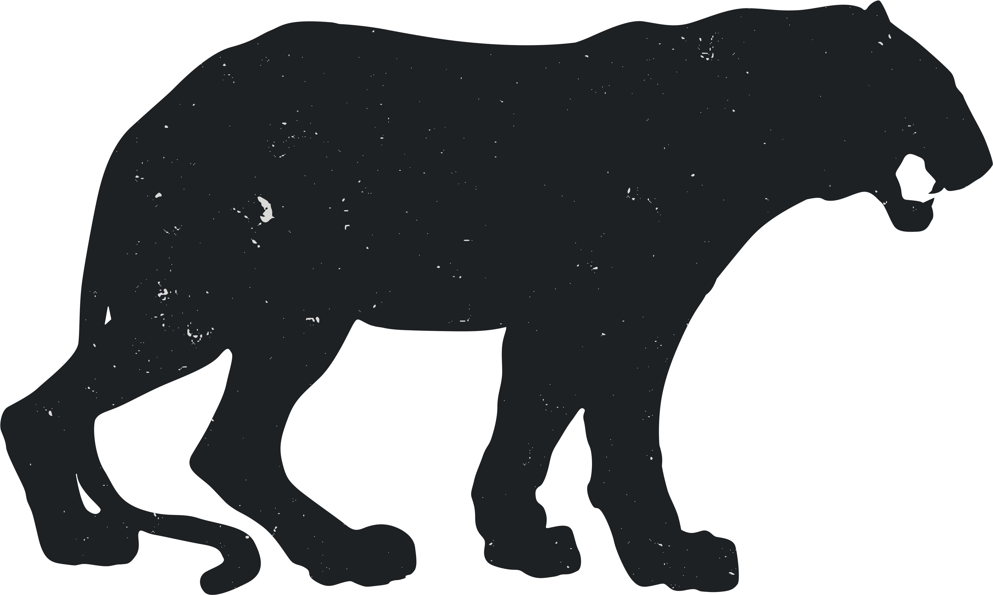 Panther Silhouette Clip Art - Tiger Silhouette Png Transparent Png (3600x3600), Png Download