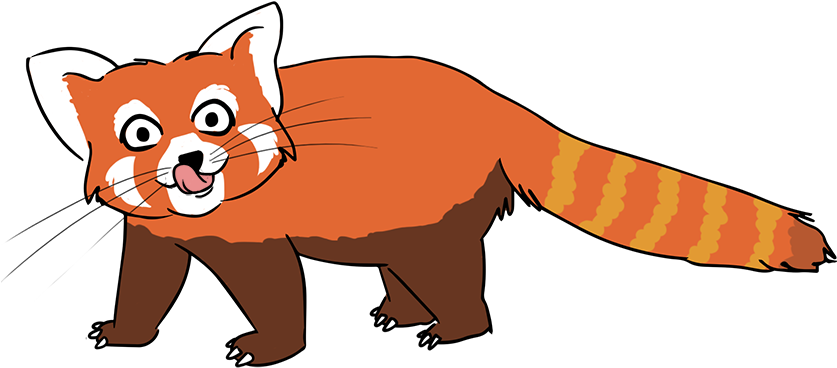 Baby Raccoon Clipart Free Images - Cartoon Red Panda Clipart - Png Download (863x400), Png Download