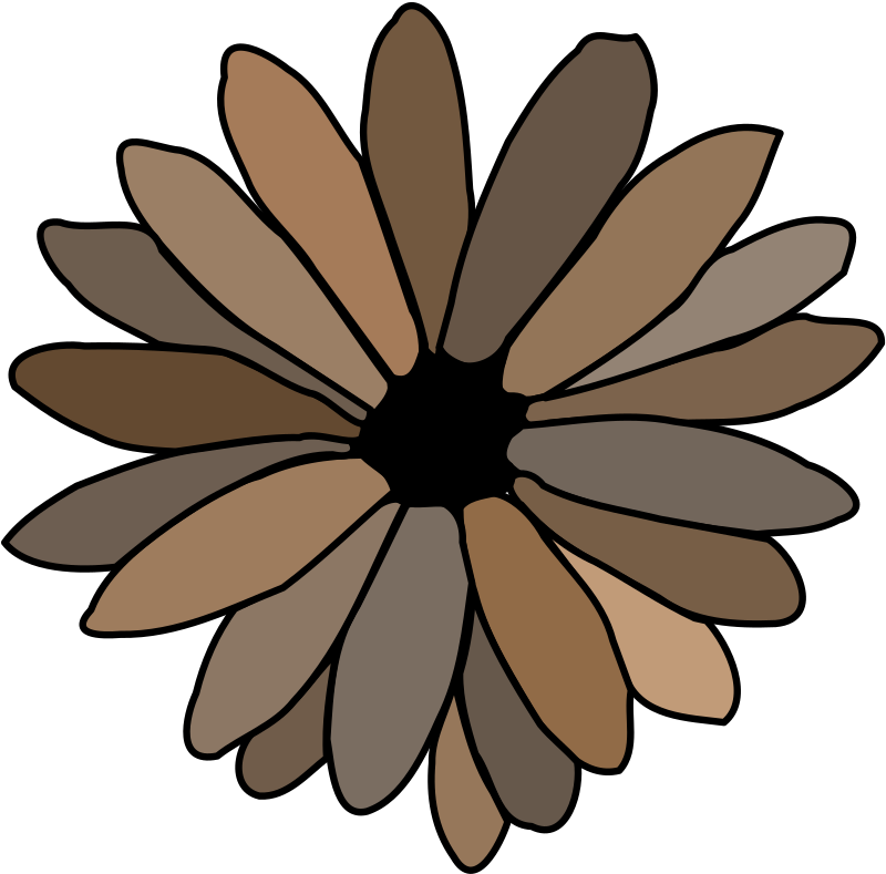 Daisy Clipart Books - Single Flower Coloring Flower - Png Download (600x592), Png Download