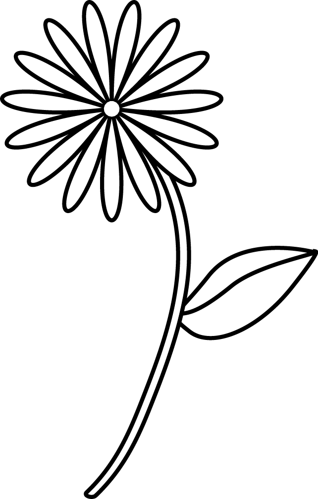Simple Flower Drawings - Simple Line Drawing Of A Flower Clipart (642x1007), Png Download