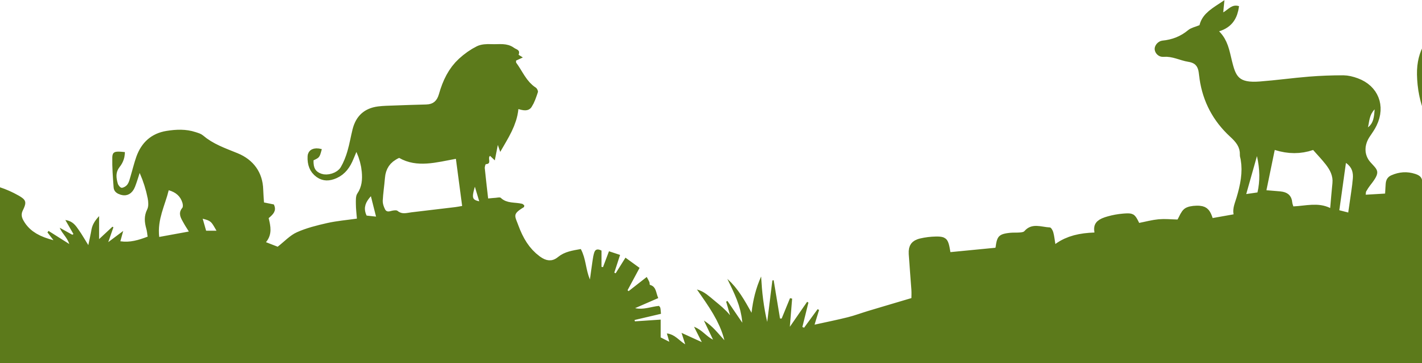 About The Program - Zoo Background Clipart (2800x715), Png Download