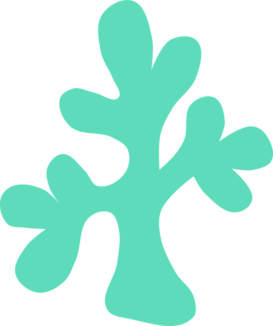 Coral Mermaid Parties, Kid Parties, Theme Parties, - Under The Sea Clipart - Png Download (756x900), Png Download