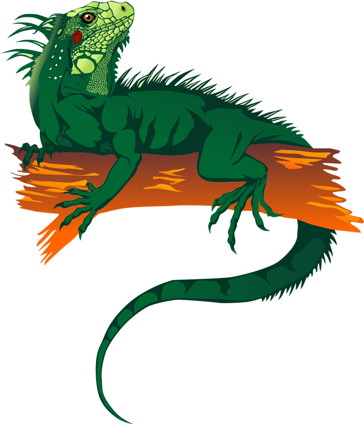 Clipart Info - Iguana Clipart Png Transparent Png (800x955), Png Download