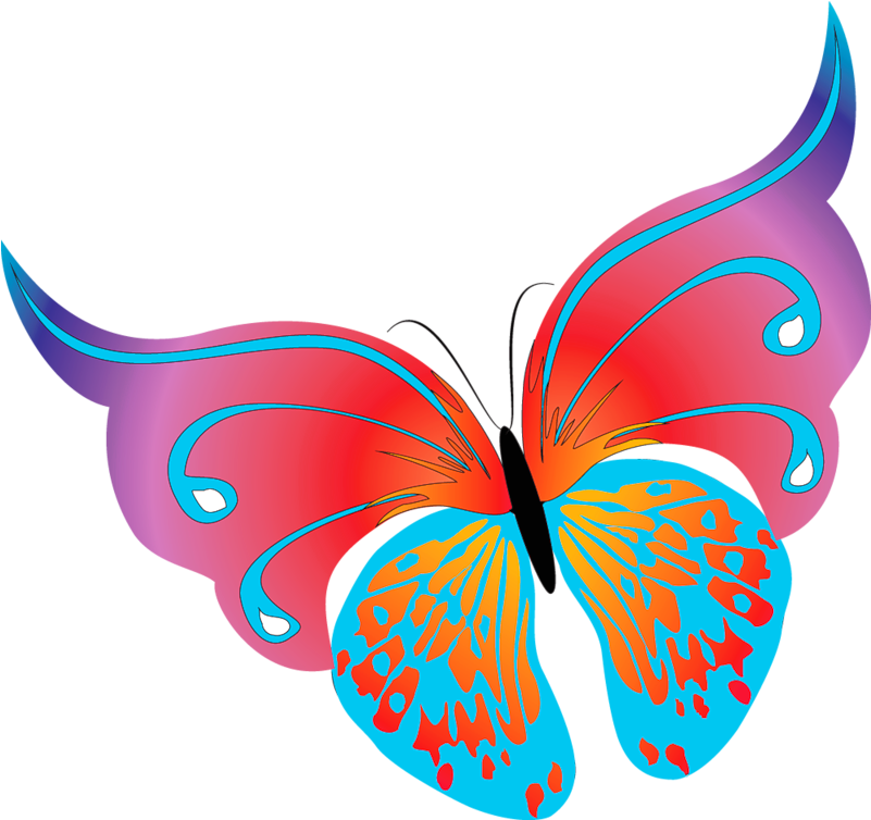 Summer Butterflies Clip Art - Png Download (820x770), Png Download