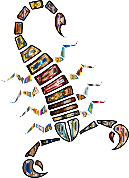 Scorpion Art Arachnid Animal Drawing - Scorpion Clipart (547x750), Png Download