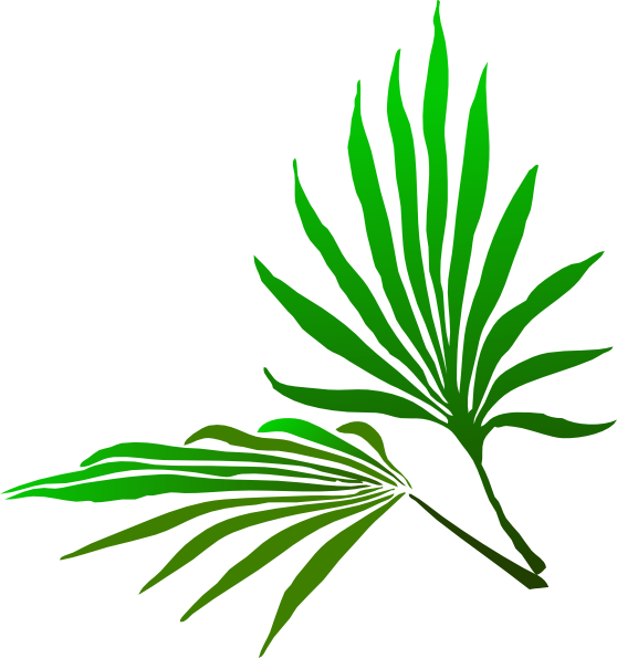 Palm Sunday Branch Hi2 - Pale Leaf Purple Art Print - Mini By Ally Coxon Clipart (558x595), Png Download