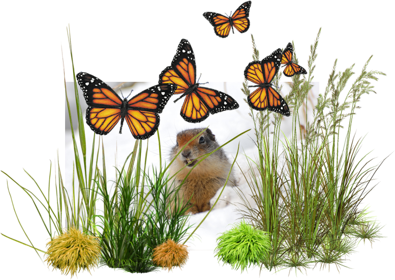 Photo - Baby Ducks, Ducklings Picture Made On Wood, Wall Art Clipart (777x551), Png Download