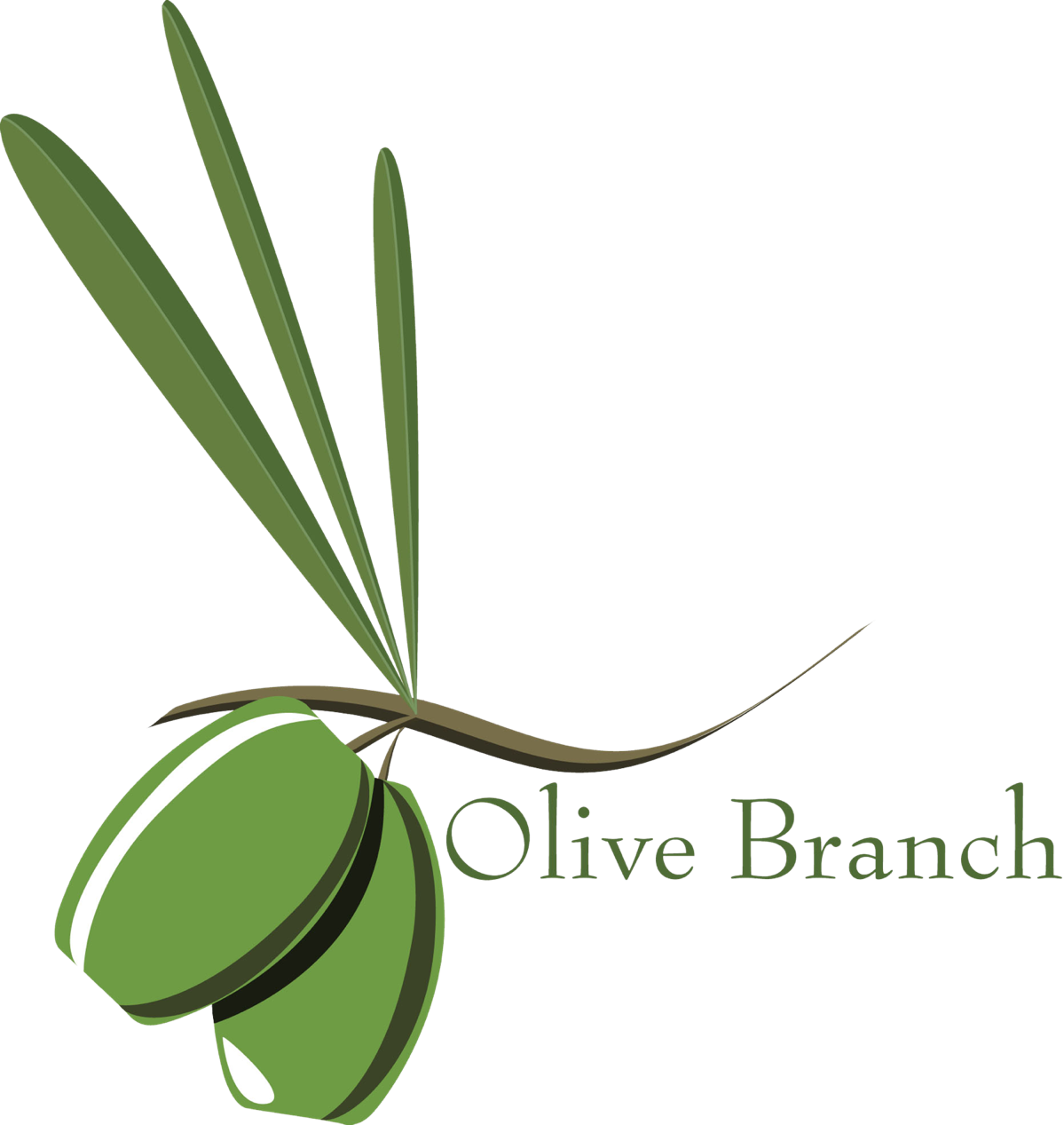 The Branch Environment Olijf Bomen Pinterest - Olive Branch Petition Drawing Clipart (1199x1267), Png Download