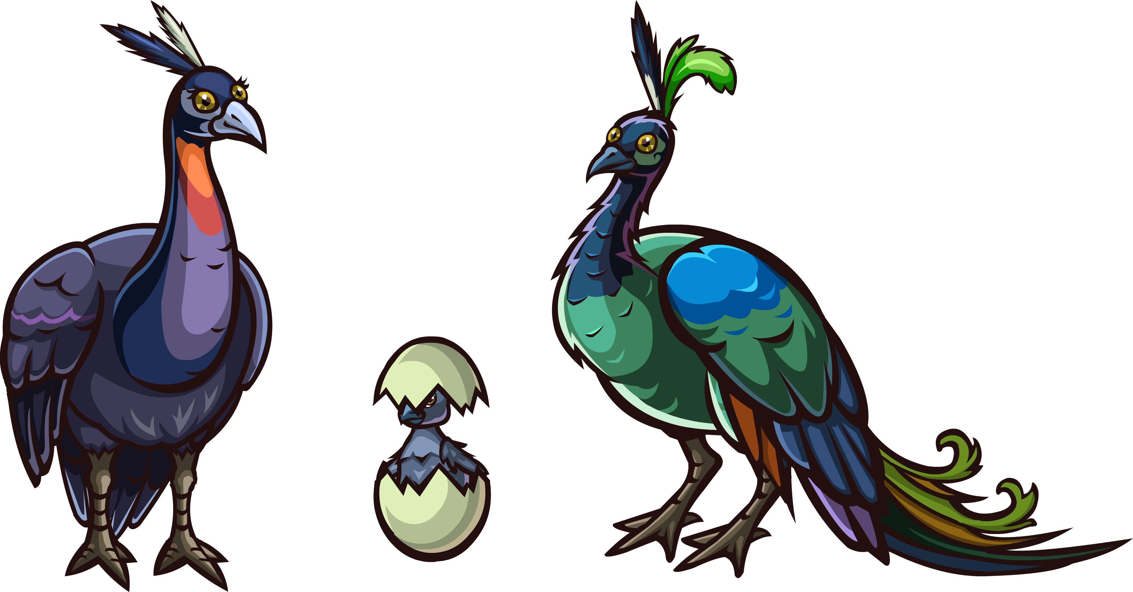 [ Img] - Zoomumba Peacock Clipart (3962x2070), Png Download