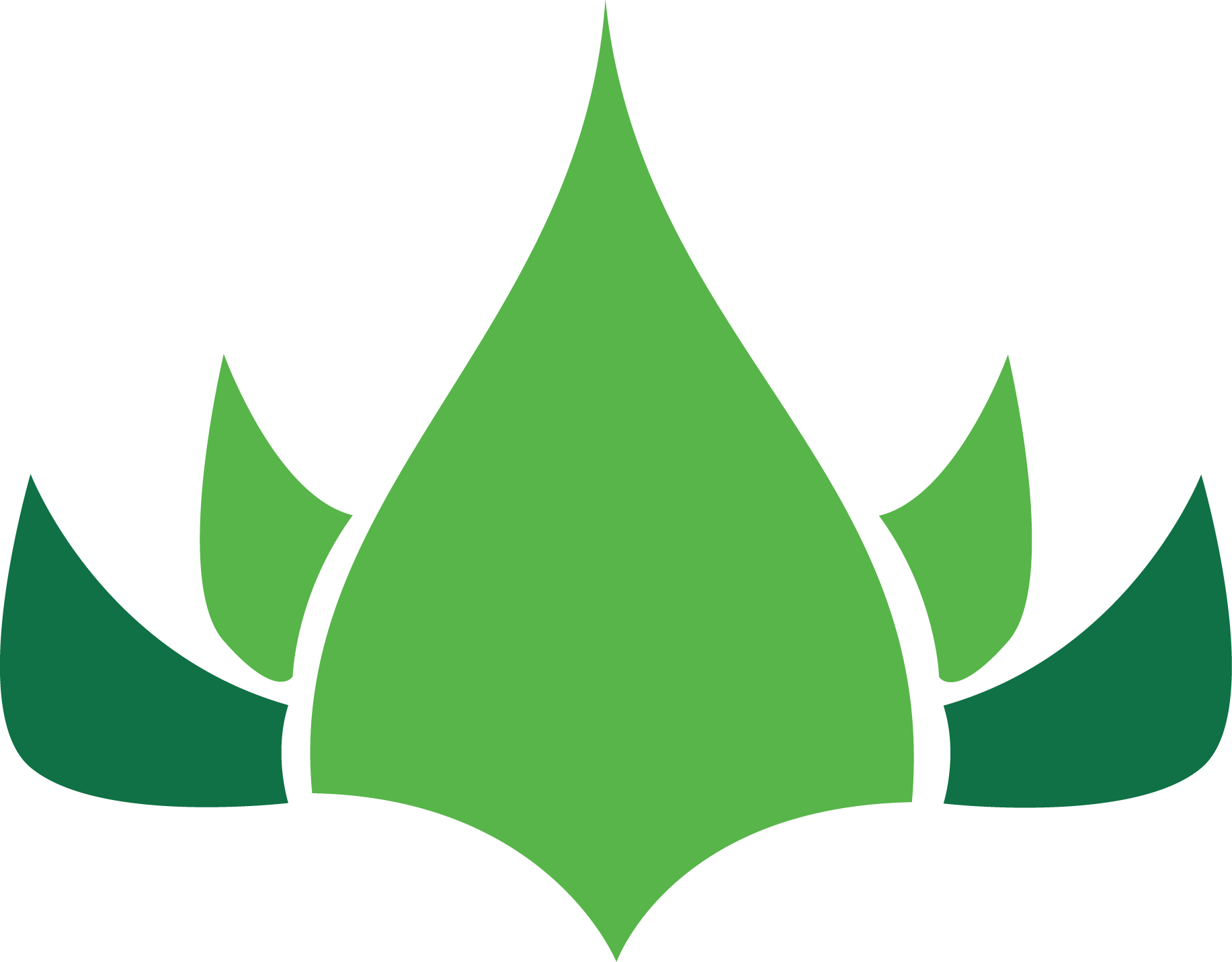 National Symbols Of India Clipart (1833x1431), Png Download