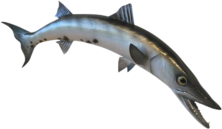 Clipart Royalty Free Vintage Nautical Wall Mount - Rocketfish Tilting Tv Wall Mount For Most 32"-70" Tvs - Png Download (837x486), Png Download