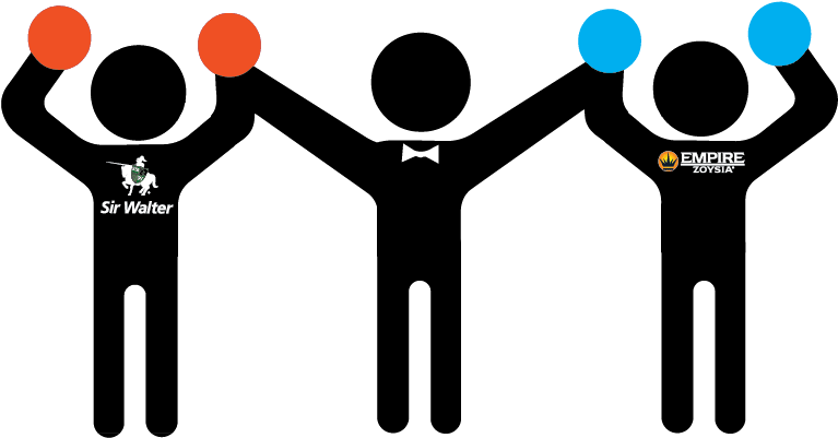 It's A Tie Between Sir Walter Buffalo And Empire Zoysia Clipart (801x434), Png Download