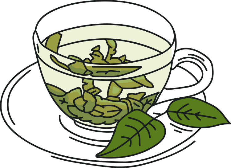 Oregano Tisane Clipart (750x547), Png Download