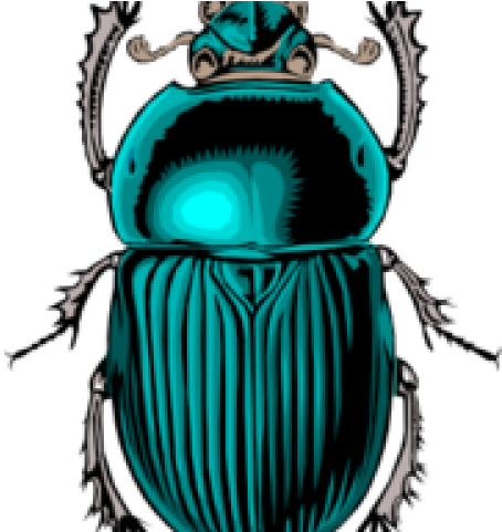 Egyptian Bug Clipart (640x480), Png Download