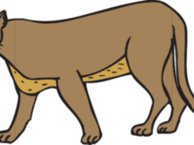Cougar Cliparts - Clip Art - Png Download (640x480), Png Download