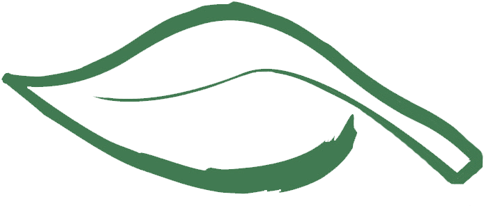 Eco Montana Logo - Ecomontana Clipart (817x401), Png Download