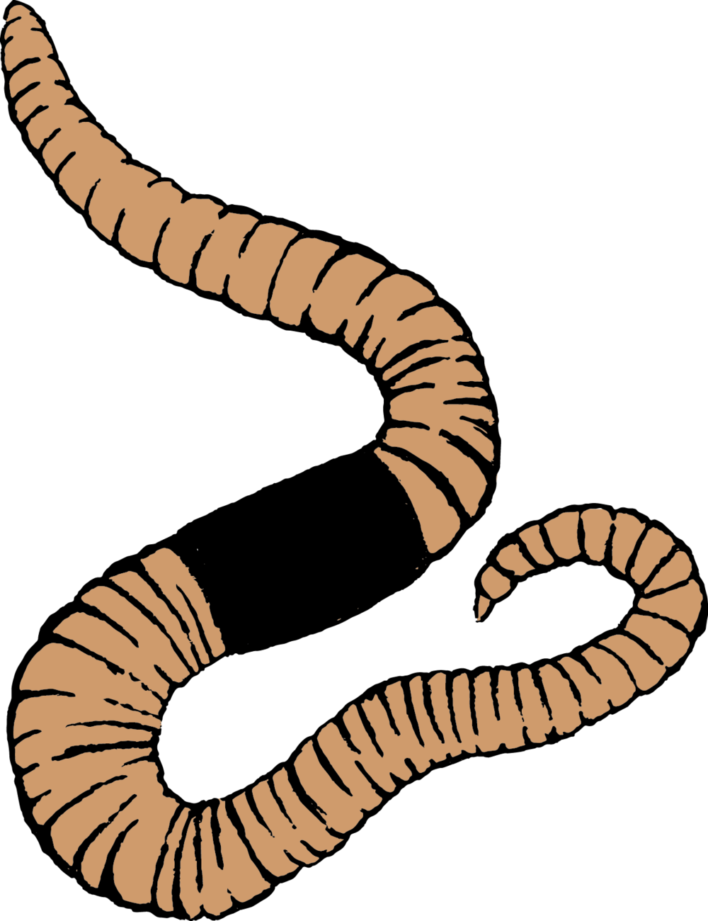 Green Ambassadors Program - Washington Youth Garden Clipart (1000x1300), Png Download