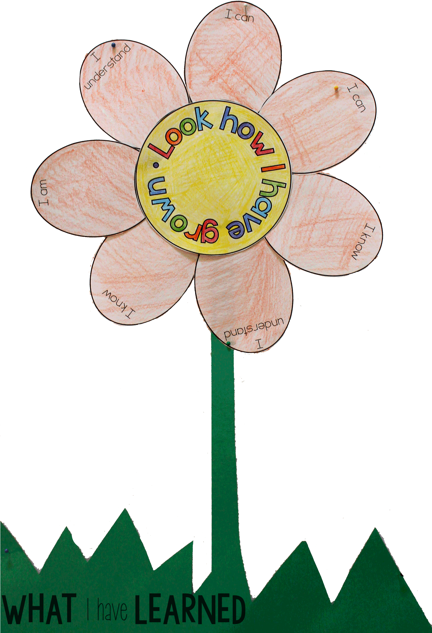 Your Students Have Been In School All Year Long And - School Clipart (1400x2087), Png Download