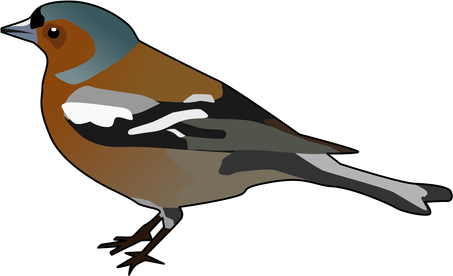 Robin Clipart Chidiya - Chaffinch Clipart - Png Download (800x497), Png Download