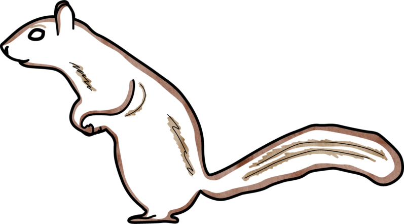 9188297 Web Squirrel - World Wide Web Clipart (797x441), Png Download