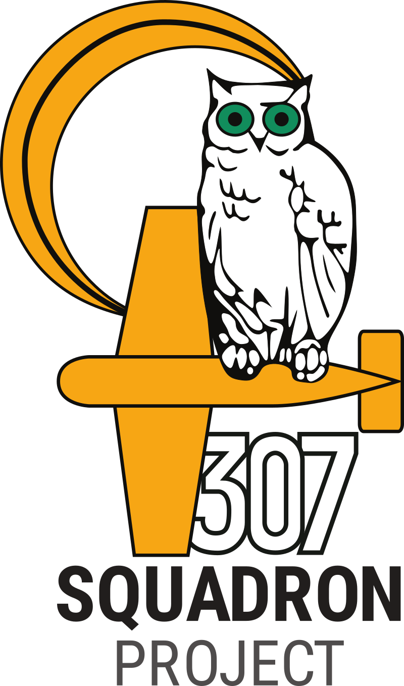 307 Squadron Project Has Been Formed More Than 70 Years - No. 307 Polish Night Fighter Squadron Clipart (800x1358), Png Download