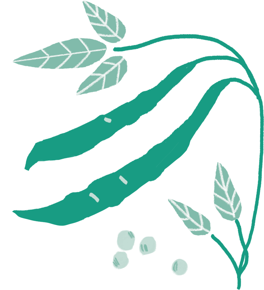 Illustration Clipart (1024x1024), Png Download