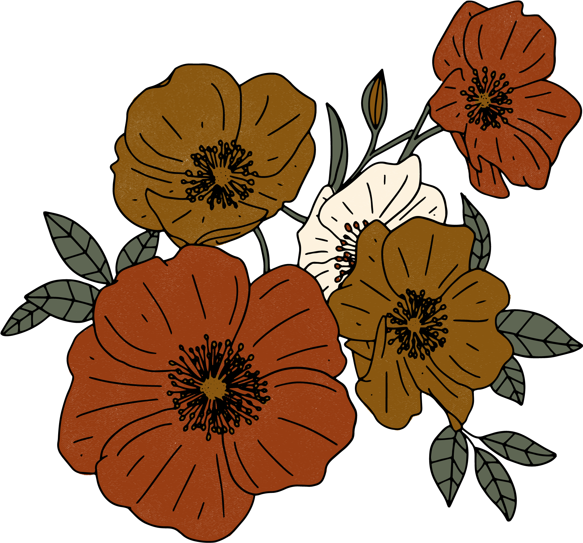 Get In Touch - Zinnia Angustifolia Clipart (2401x2400), Png Download