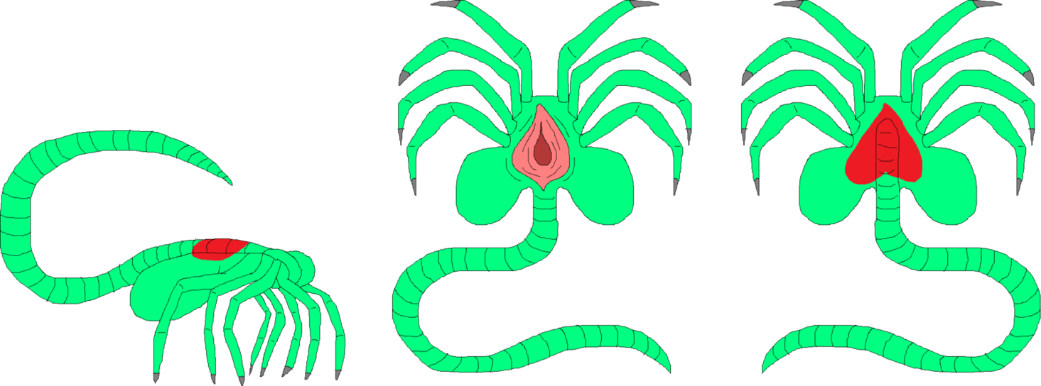 Xenomorph Embryo Png Transparent Image Free Stock - Non Xenomorph Pregnancy Clipart (1465x544), Png Download