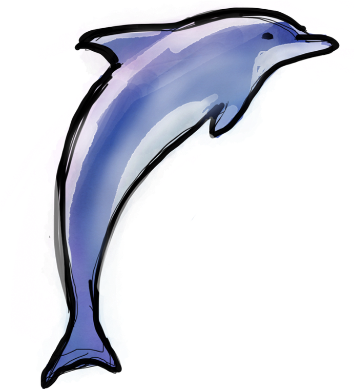 Dolphin Stage - Scrub Jay Clipart (2000x758), Png Download