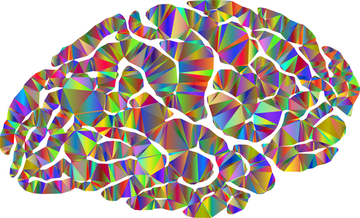 Human Brain Neuroimaging Neuroscience - Brain Neuroimaging Clipart (1239x750), Png Download
