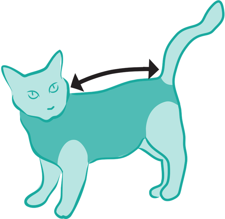Size Measured From Collar To Base Of The Tail - Post Surgical Suit For Cat Clipart (720x702), Png Download