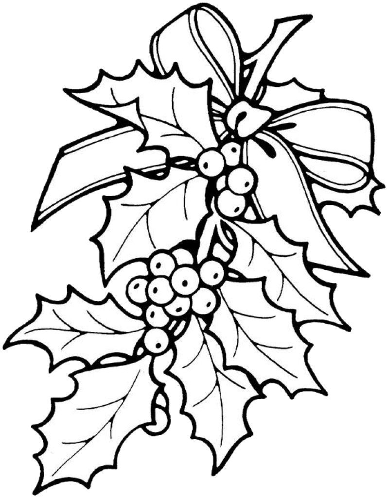 Holly Leaves Coloring Sheets Printable Christmas Ornament - Holly Coloring Pages Clipart (796x1024), Png Download