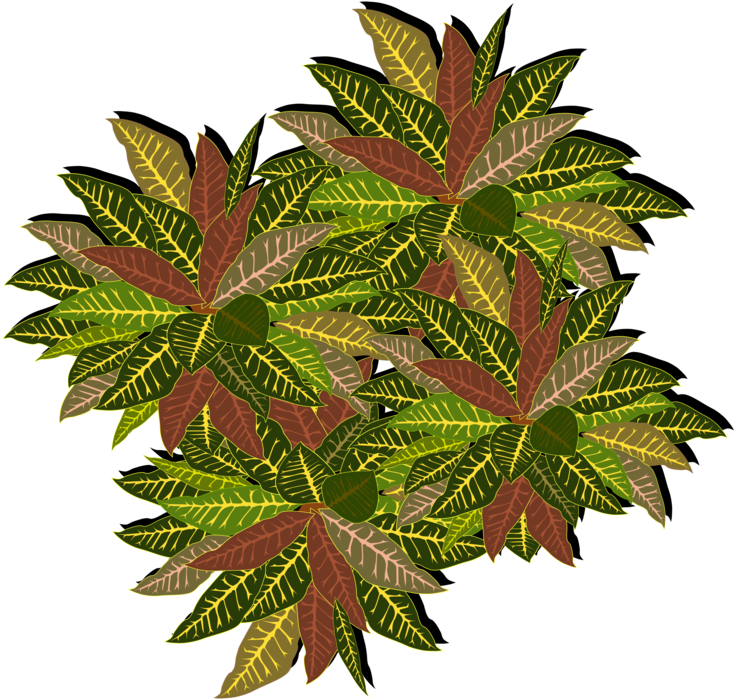 Computer Icons Tree User Interface Pdf Video - Portable Network Graphics Clipart (750x750), Png Download