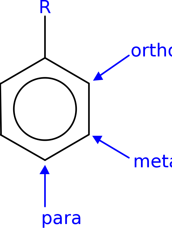 Free Ortho Meta Para - Arene Substitution Pattern Clipart (604x800), Png Download