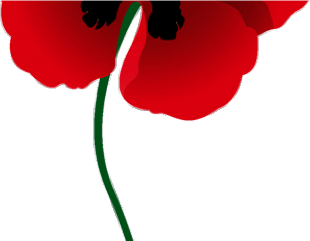 Poppy Clipart Red Poppy - Memorial Day - Png Download (640x480), Png Download
