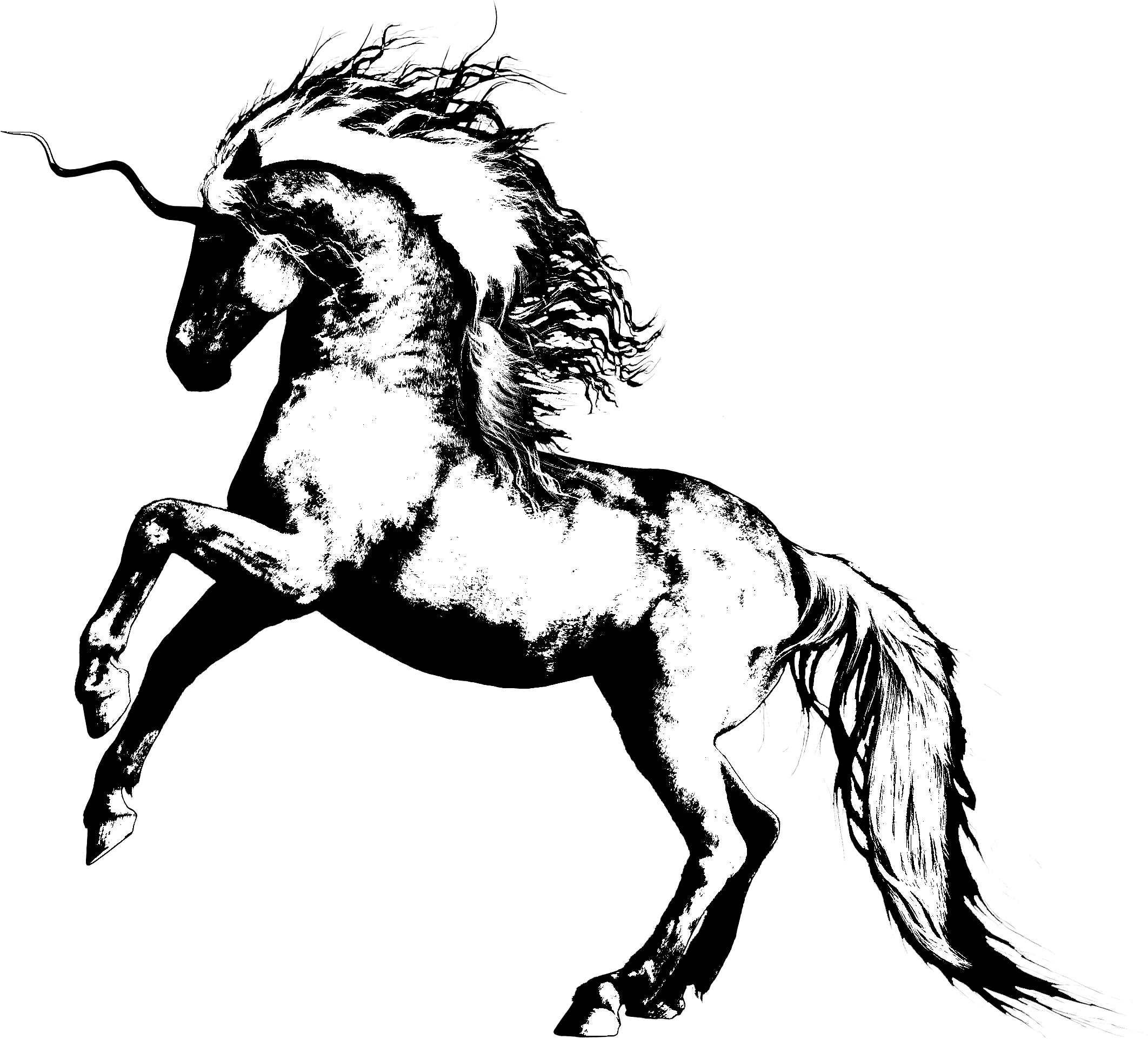 I Mostly Had Knights, And Horses And Alot Of Eggs That - Mane Clipart (2400x2100), Png Download