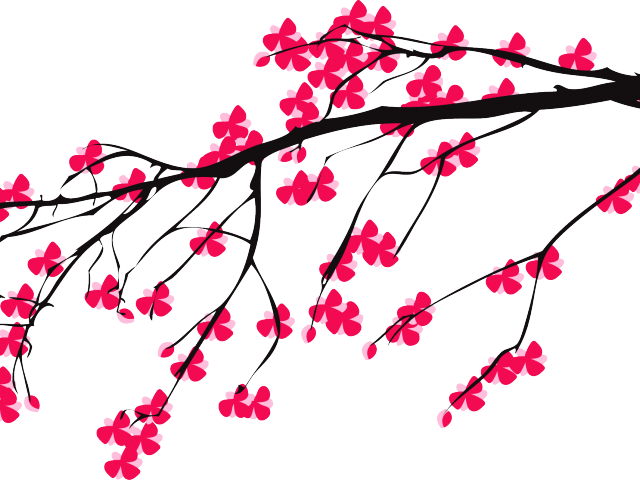 Original - Clip Art Cherry Blossom Transparent - Png Download (640x480), Png Download