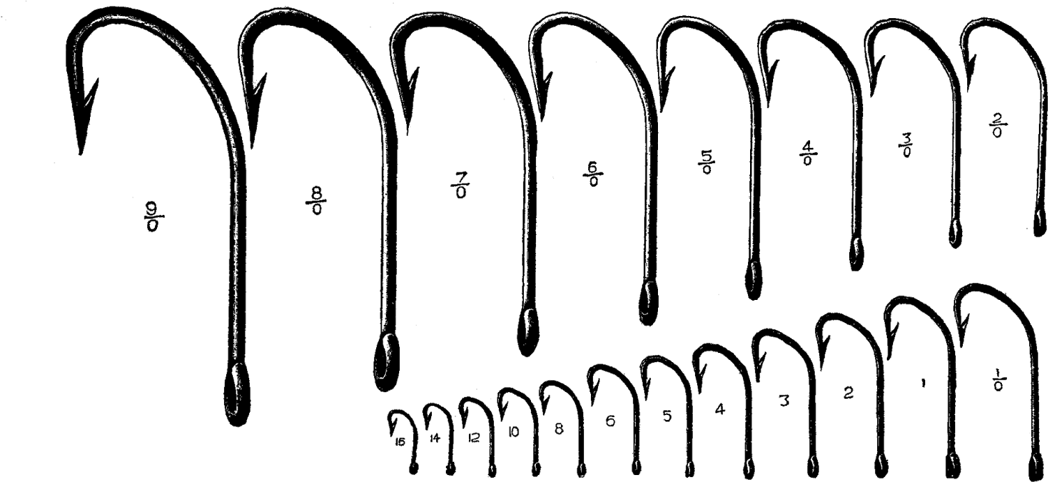 Fish Hook Clip Art - Misure Ami Da Pesca - Png Download (1600x844), Png Download