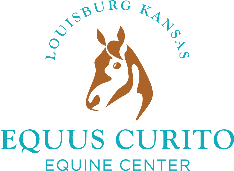 Equus Curito Equine Center - Stallion Clipart (972x750), Png Download